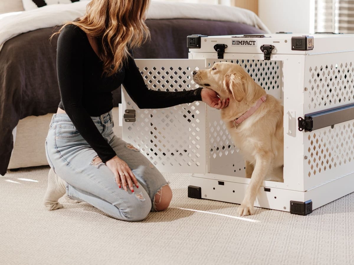 Owner kneeling beside a dog crate placed at the foot of the bed in a bedroom while the dog steps inside